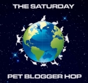 We're taking part in the Pet Blogger Hop hosted by Life With Dogs.  Hop over to join in.  