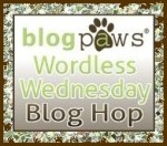 Click here to go to BlogPaws and join in their Wordless Wednesday Blog Hop